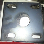 Plants: image 1 0f 4 thumb