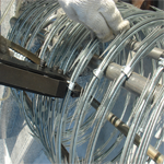 Plants: image 1 0f 4 thumb